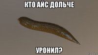 кто айс дольче уронил?