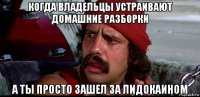 когда владельцы устраивают домашние разборки а ты просто зашел за лидокаином
