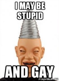i may be stupid and gay