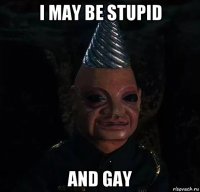 i may be stupid and gay