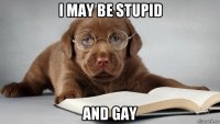 i may be stupid and gay