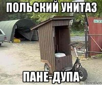 польский унитаз пане-дупа