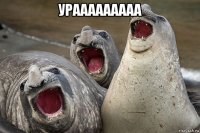 урааааааааа 