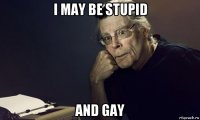 i may be stupid and gay