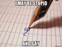 i may be stupid and gay