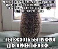 медведь поймал ёжика, а не знает, где у него зад, а где перёд. позвал медведь зайца, лису, волка, но и они не знают. тогда медведь говорит ёжику: - ты ёж хоть бы пукнул для ориентировки...