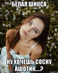 белая шикса ну хочешь сосну ашотик....?