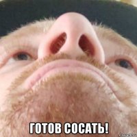  готов сосать!