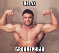 петух бройлерный