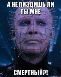 а не пиздишь ли ты мне смертный?!