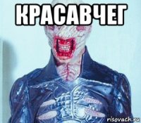 красавчег 