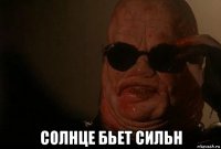  солнце бьет сильн