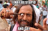 i may be stupid and gay