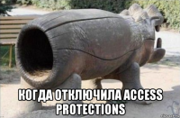  когда отключила access protections