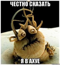 честно сказать я в ахуе