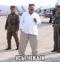  усы чен ын