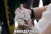  живодёр хуев
