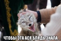  чтобы эта ася блядь знала