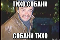 тихо собаки собаки тихо