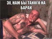 эх, нам бы такого на барак 