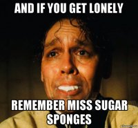 and if you get lonely remember miss sugar sponges