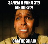 зачем я убил эту мышку?! сам не знаю
