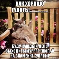 как хорошо гулять!................. буду каждый день выходить!мурррр (жопай на скамейке гуляет))