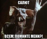 салют всем, помните мени?!