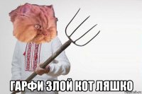  гарфи злой кот ляшко