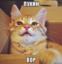 пукин вор