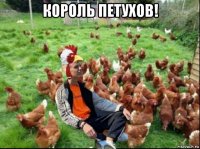 король петухов! 