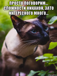 просто поговорим... сложности никакой, зато интересного много... 