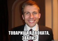 товарища адвоката, звали?