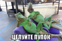  целуйте пупок