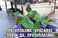  протоплазма... красивое слово... да... протоплазма!