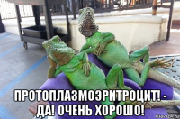  протоплазмоэритроцит! - да! очень хорошо!