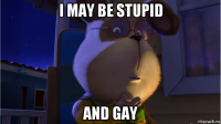 i may be stupid and gay