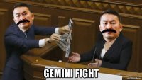 gemini fight