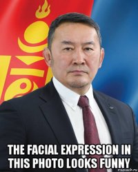  the facial expression in this photo looks funny
