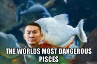  the worlds most dangerous pisces