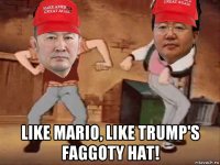  like mario, like trump's faggoty hat!
