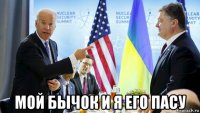  мой бычок и я его пасу