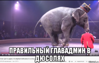  правильный главадмин в дюсолях