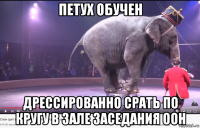 петух обучен дрессированно срать по кругу в зале заседания оон