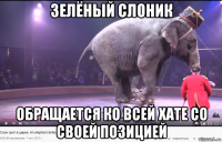 зелёный слоник обращается ко всей хате со своей позицией