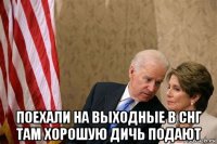  поехали на выходные в снг там хорошую дичь подают
