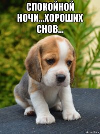 спокойной ночи...хороших снов... 
