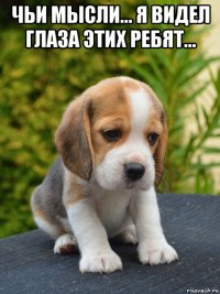 чьи мысли... я видел глаза этих ребят... 
