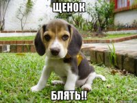 щенок блять!!