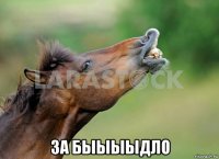  за быыыыдло